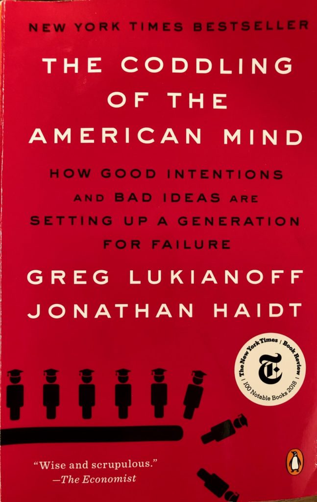 The Coddling of the American Mind : How Good Intentions and Bad Ideas Are Setting Up a Generation for Failure main image 0