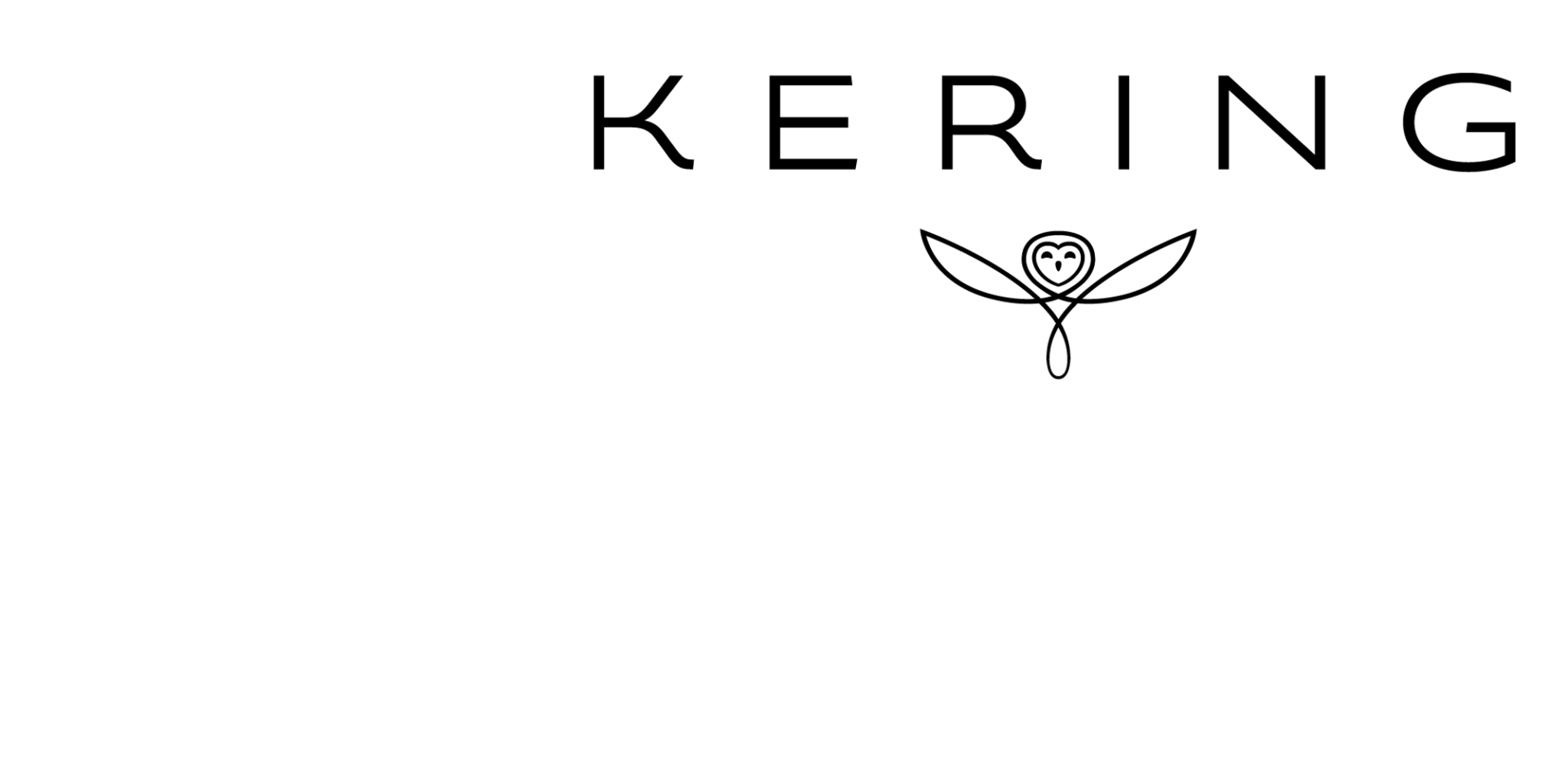 Empowering Imagination Luxury Fashion Group Kering Americas President